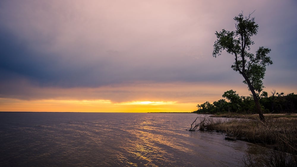 Un coucher de soleil sur une étendue d’eau calme, avec un arbre se détachant en silhouette sur le ciel.