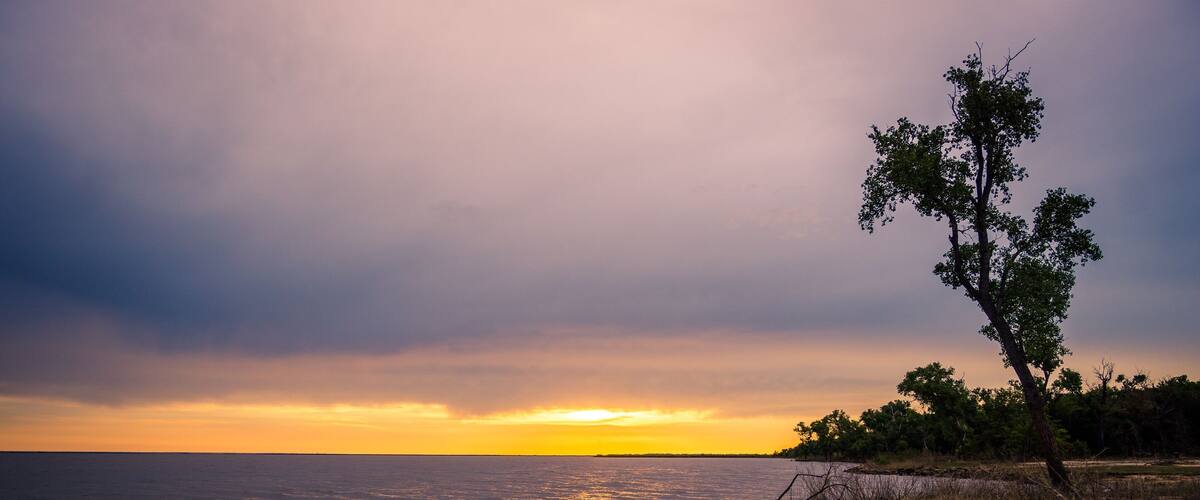 A sunset over a calm body of water with a tree silhouetted against the sky.
