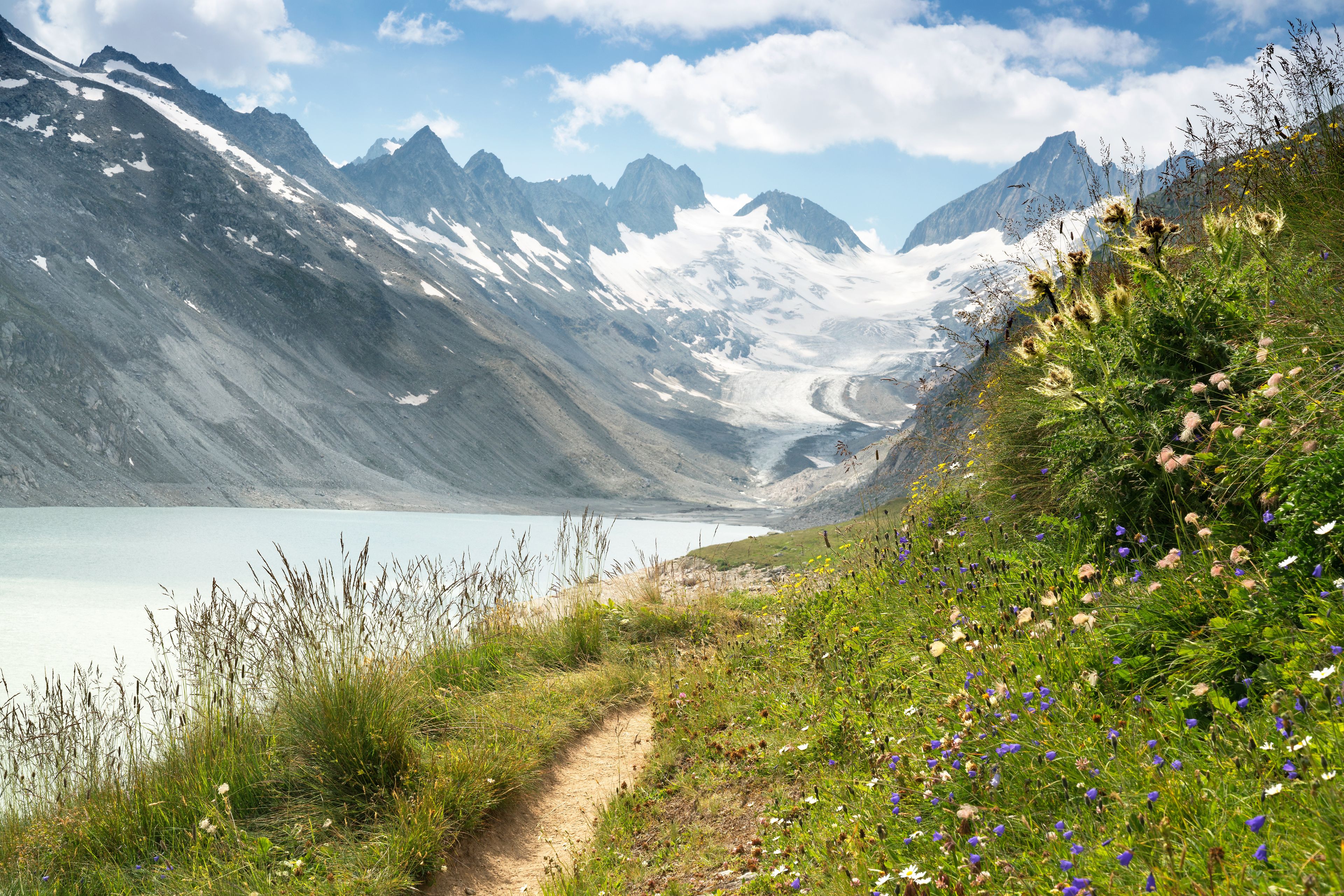 A mountain landscape with a glacier, a lake, and a trail with wildflowers.