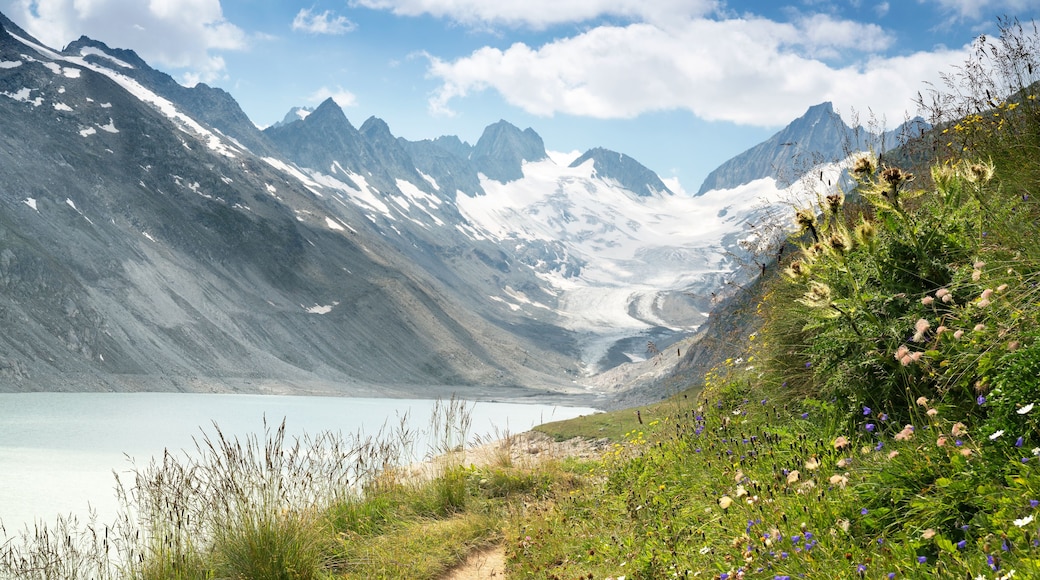 A mountain landscape with a glacier, a lake, and a trail with wildflowers.