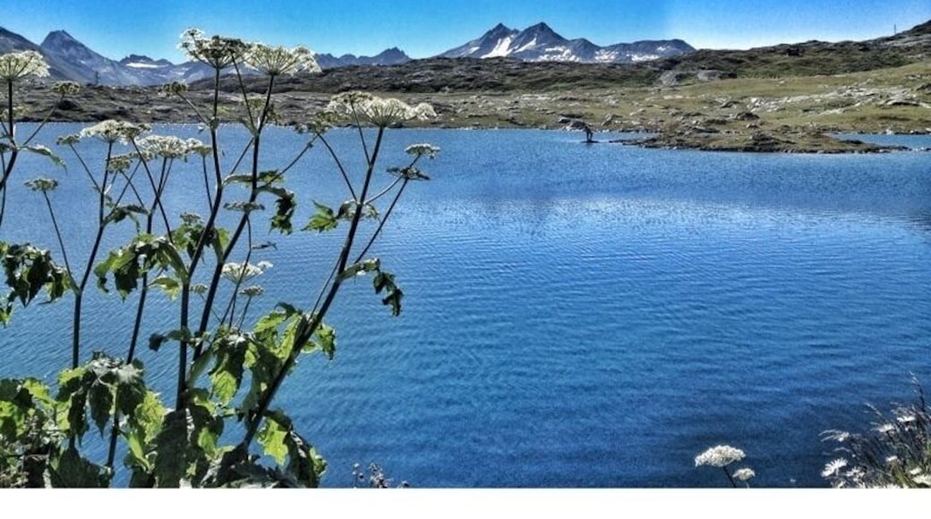 Top of Grimselpass, Switzerland
On the ridge of the pass (at 2165 meters) is the Totensee, or Lake of the Dead, which got its name during the Napoleonic wars. On the Valaisian side one travels on a well-constructed road with many long bends down to Gletsch in Obergoms (1759m). Here one has a fine panoramic view of the Rhone Glacier and the Furka Pass road. In the huge Grand Hotel Glacier du Rhône in Gletsch one can still enjoy the early 19th century atmosphere of the Alpine Passes’ heyday. Gletsch is also the starting point of the Furka Steam Railway.