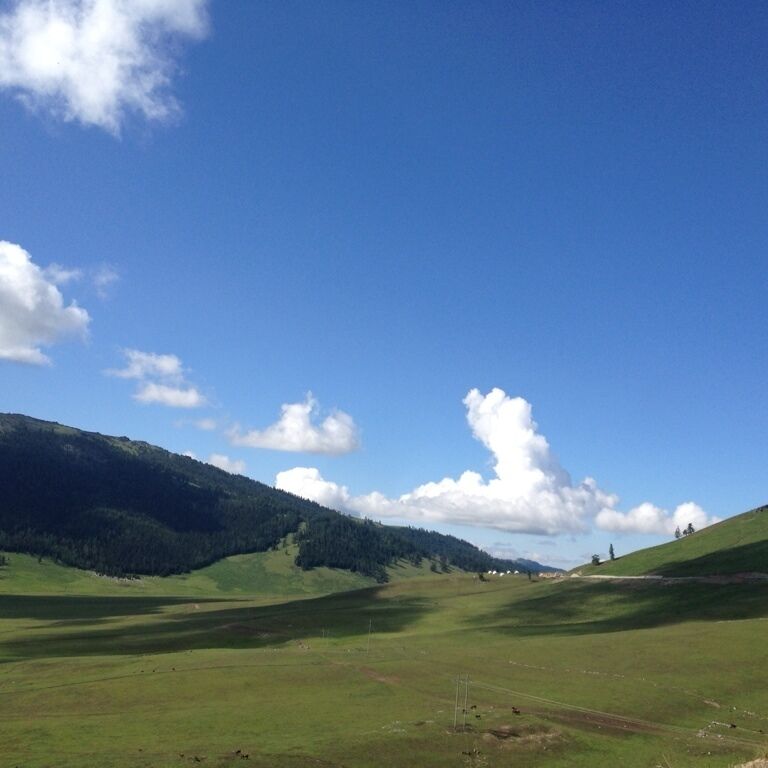 A green valley with rolling hills and a clear blue sky.