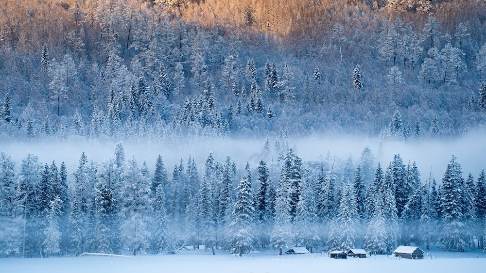 冰天雪地 Snow World II 喀纳斯 Kanas Lake Xinjiang