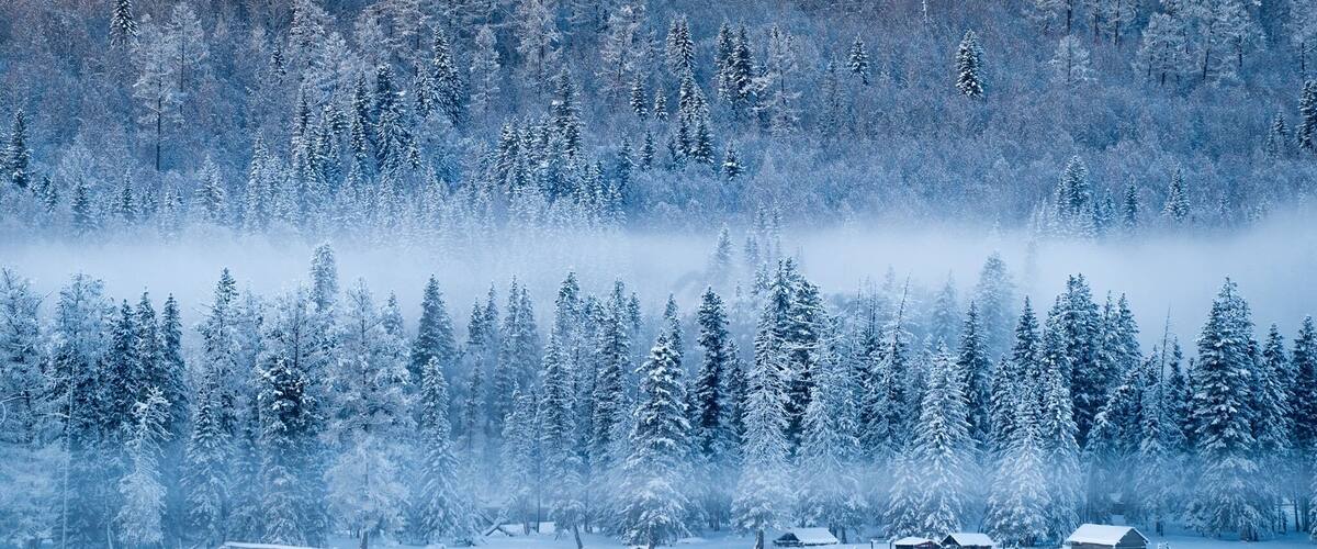 冰天雪地 Snow World II 喀纳斯 Kanas Lake Xinjiang