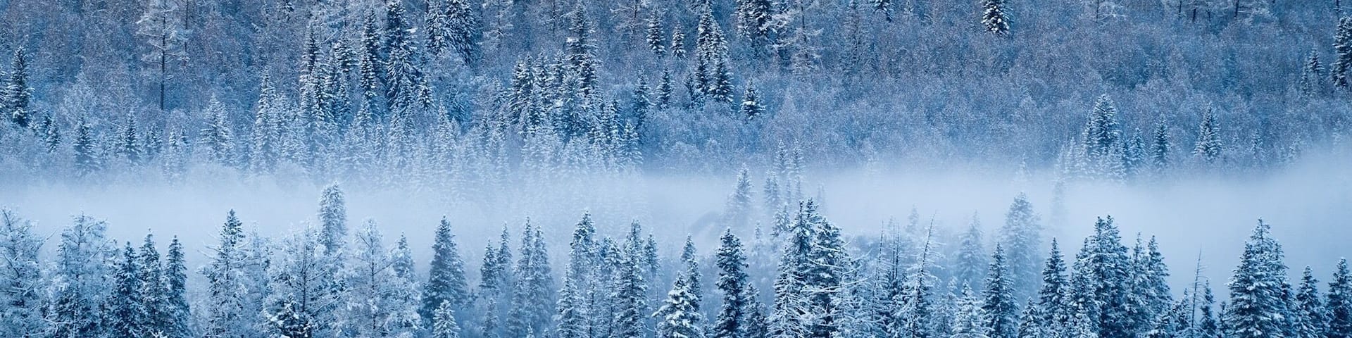 冰天雪地 Snow World II 喀纳斯 Kanas Lake Xinjiang