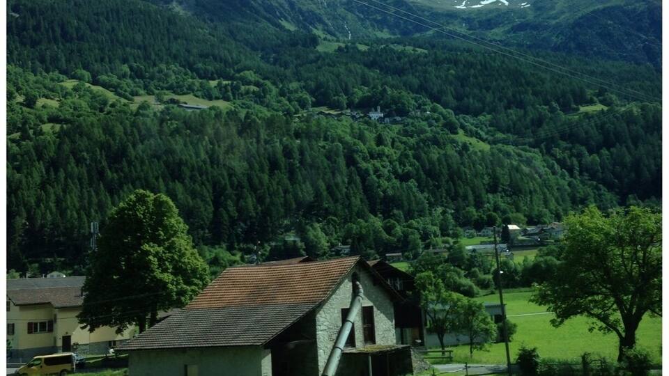 A rural house surrounded by lush green fields and dense forested mountains.
