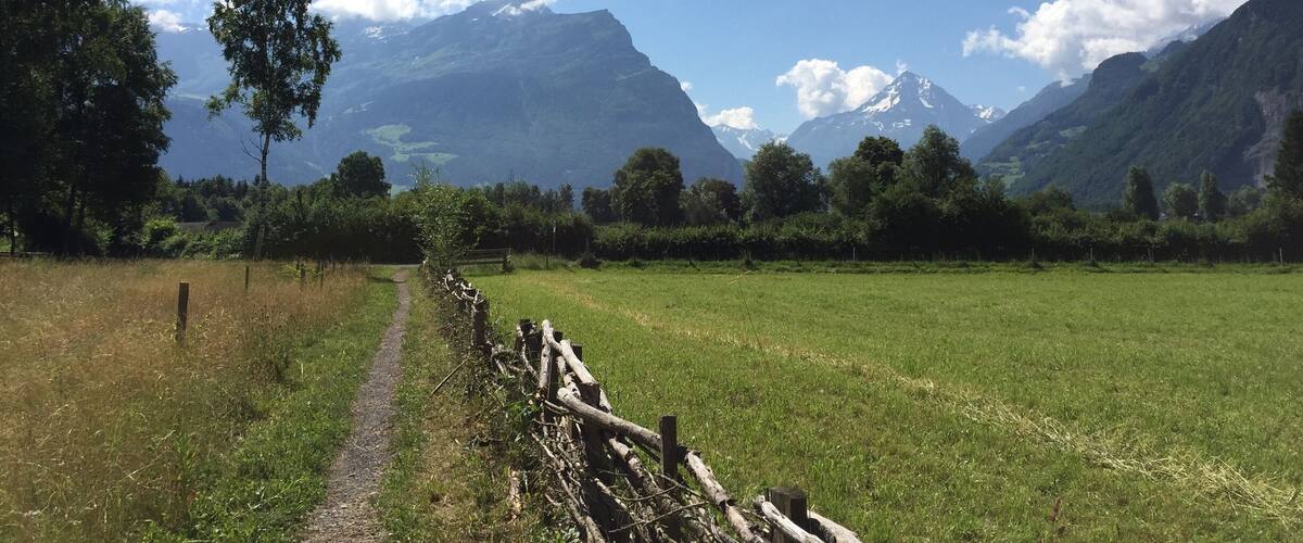 A rural landscape with a dirt path, green fields, and mountains in the background.