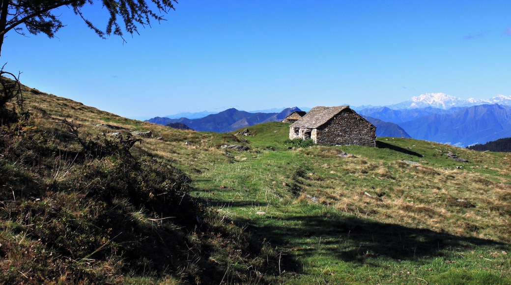 Die Alpe Cadinello (1828 m.ĂŒ.M.) am SĂŒdeingang des Tunnels von Mesolcina oberhalb von Roveredo im Grenzbereich zwischen den Schweizer Kantonen Tessin und GraubĂŒnden. In der Ferne steht der mĂ€chtige Monte Rosa.