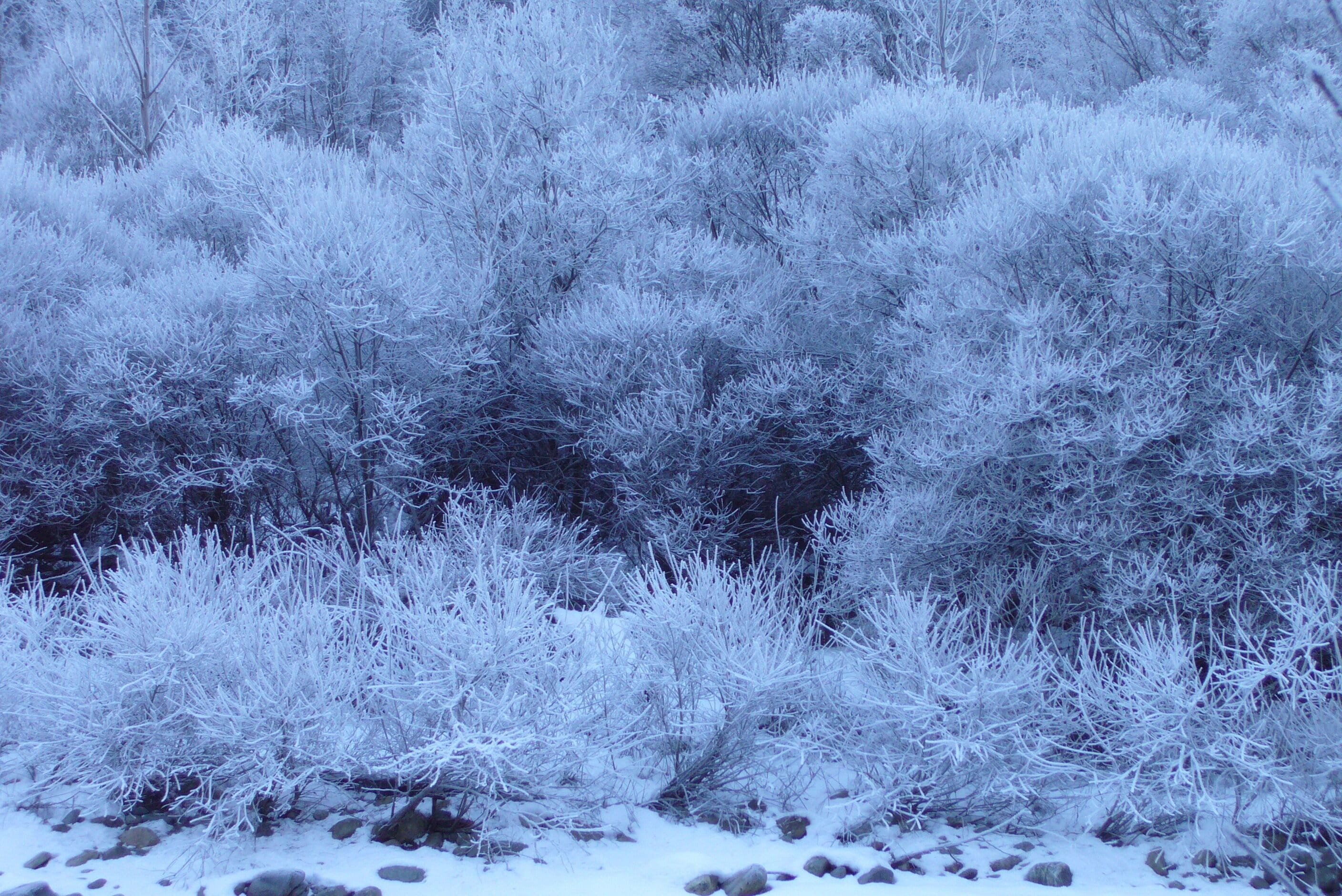 San Vittore, Switzerland