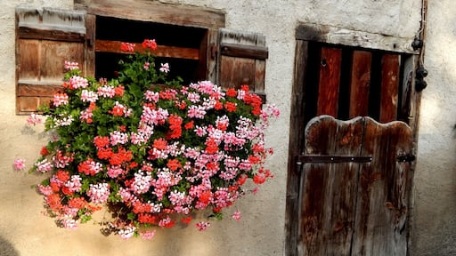 Trimmis, Switzerland