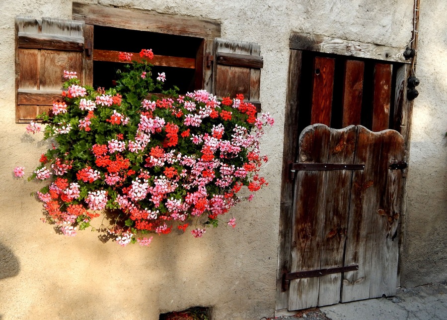 Trimmis, Switzerland