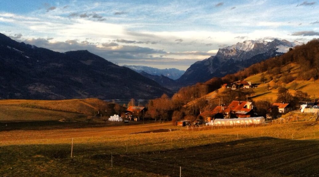 Countryside of Switzerland. Very quiet and lovely.