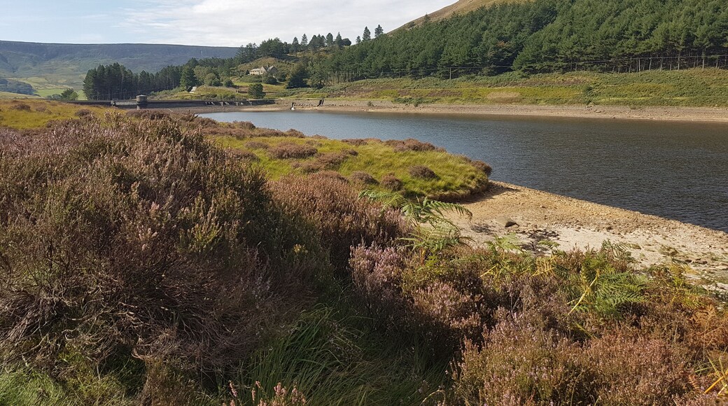 Greenfield reservoir