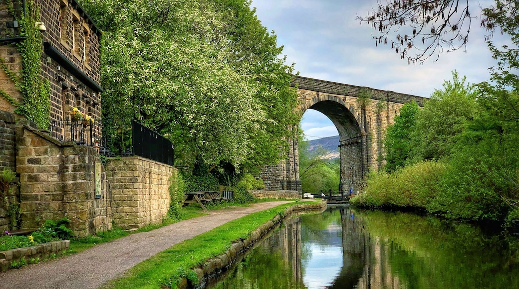 Found this amazing place while walking along the canal, worth seeing it