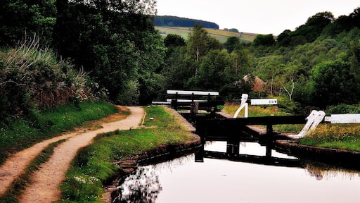Relaxing natural scenery and lovely waterscape