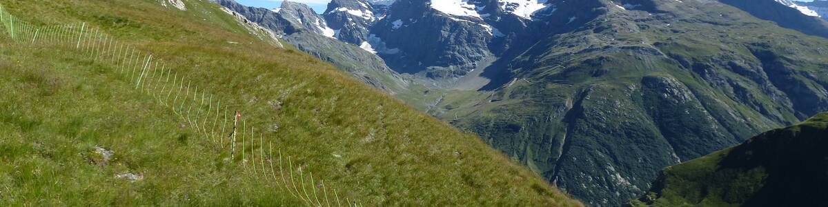 vue depuis la descente vers bonneval sur arc