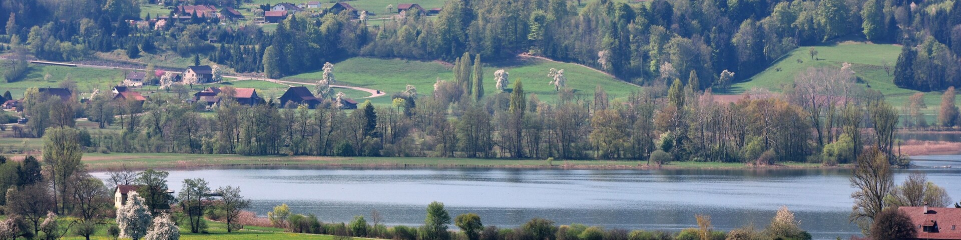 A lakeside town with green fields, a church, and a river.