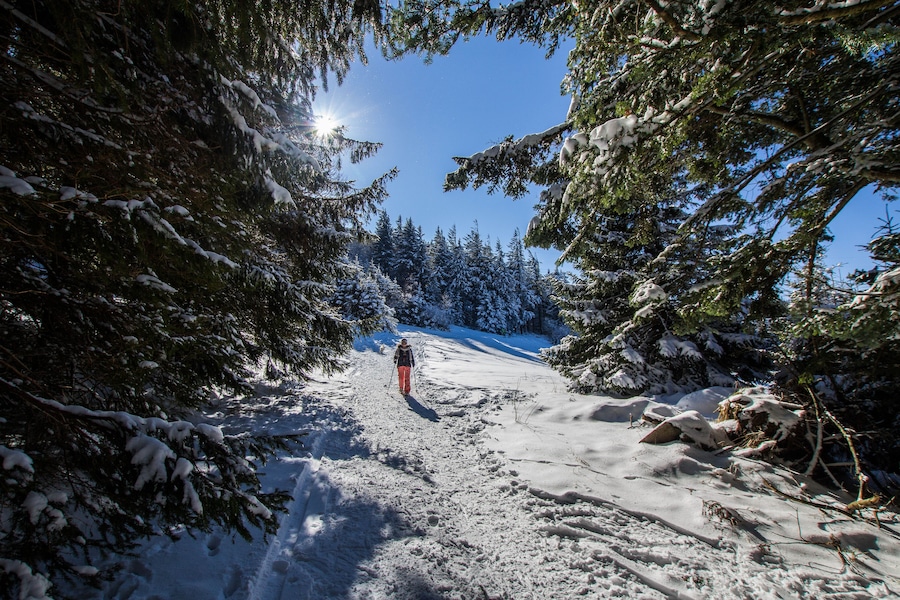 Rando raquette dans les Vosges