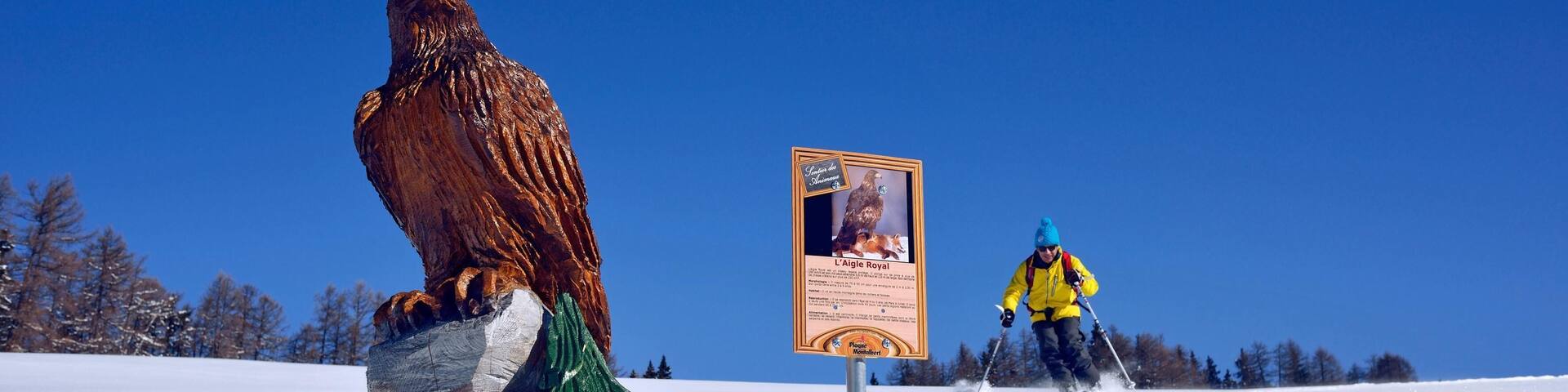 ILUSTRATION OF WINTER SPORTS, (73) SAVOY, RHONE-ALPES, FRANCE