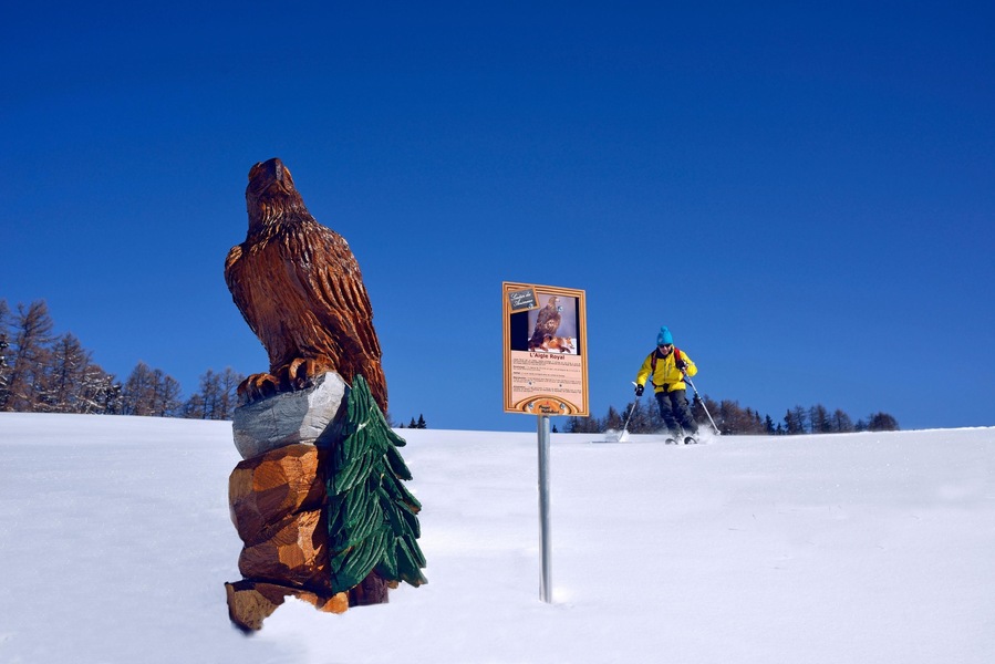 ILUSTRATION OF WINTER SPORTS, (73) SAVOY, RHONE-ALPES, FRANCE