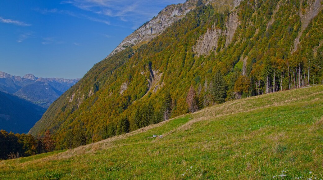 Saint-Nicolas-la-Chapelle