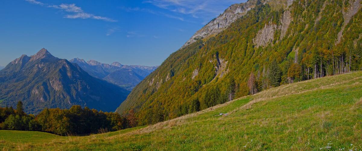 A mountainous landscape with a prominent peak, lush green fields, and dense forests.