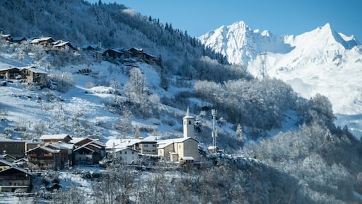 Villaroger