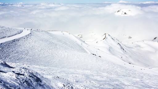 The perfect morning....