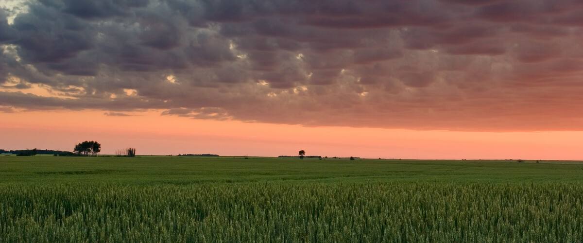 A vast green field under a dramatic sky with dark clouds and a hint of sunset.