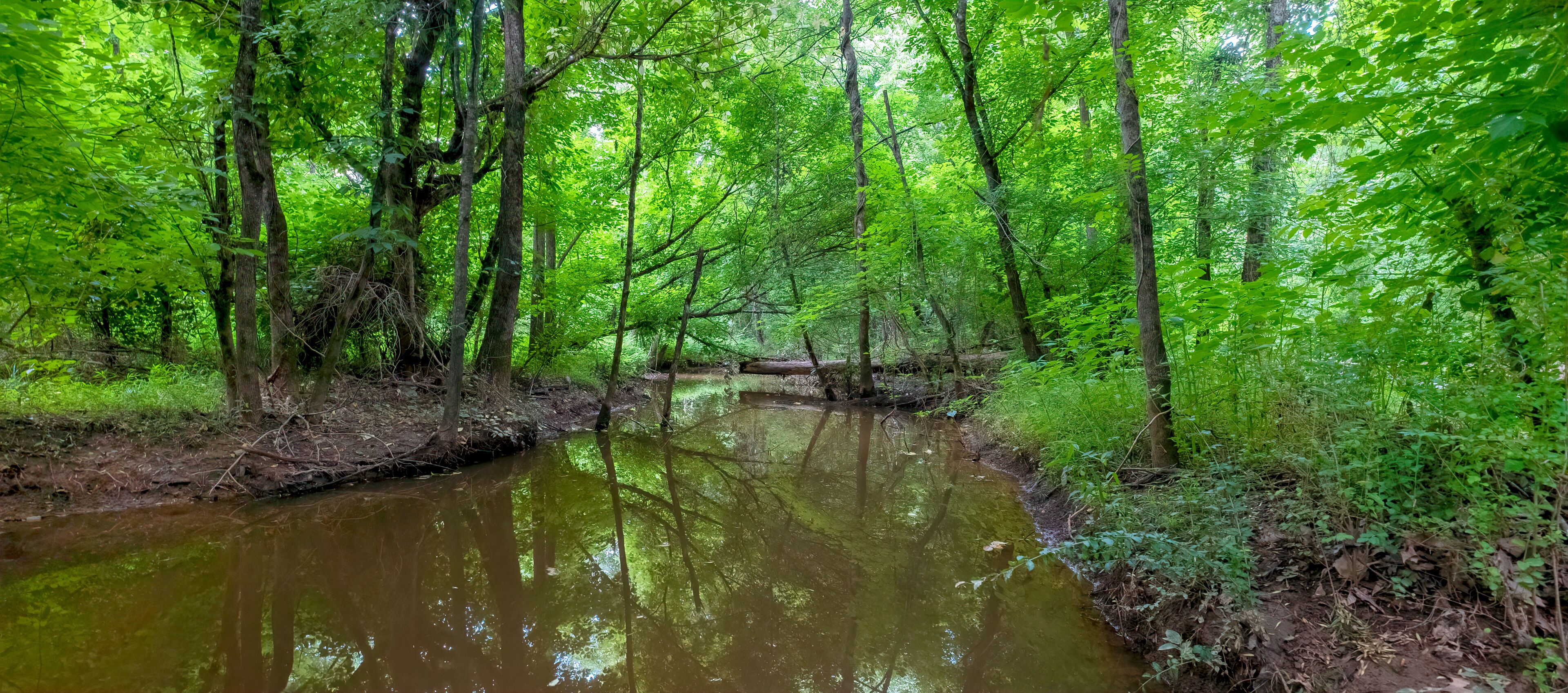Four Mile Creek on the Four Mile Creek Greenway Trail, Charlotte, North Carolina
