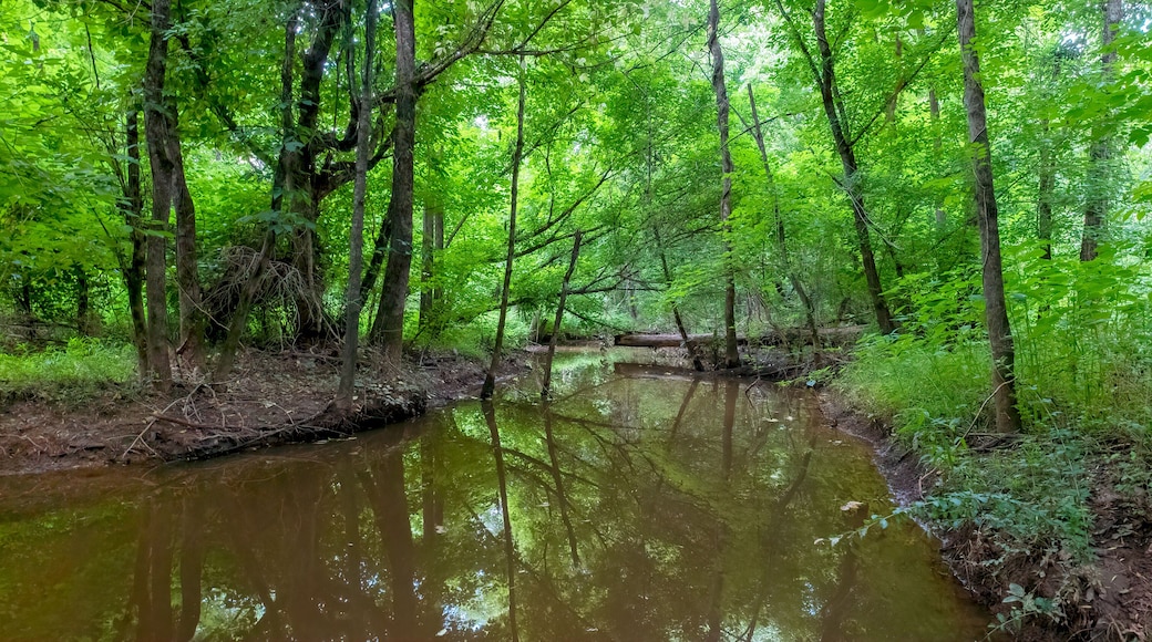 Four Mile Creek on the Four Mile Creek Greenway Trail, Charlotte, North Carolina