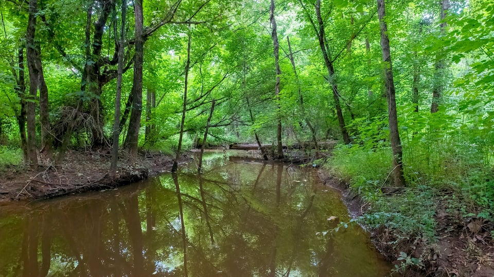 Four Mile Creek on the Four Mile Creek Greenway Trail, Charlotte, North Carolina