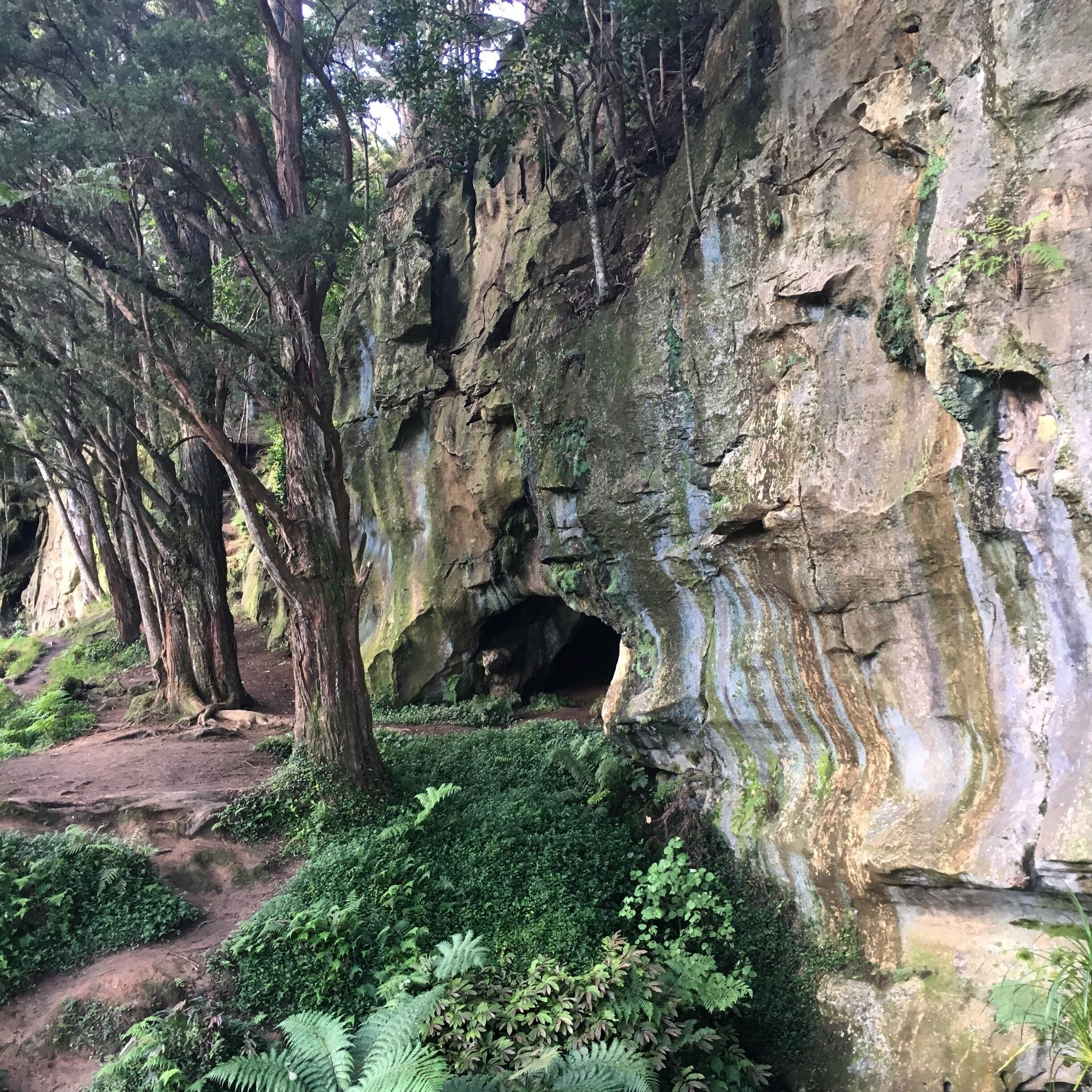 The incredible Waipu Caves, Northland, New Zealand. This is at the entrance to the large cave. 