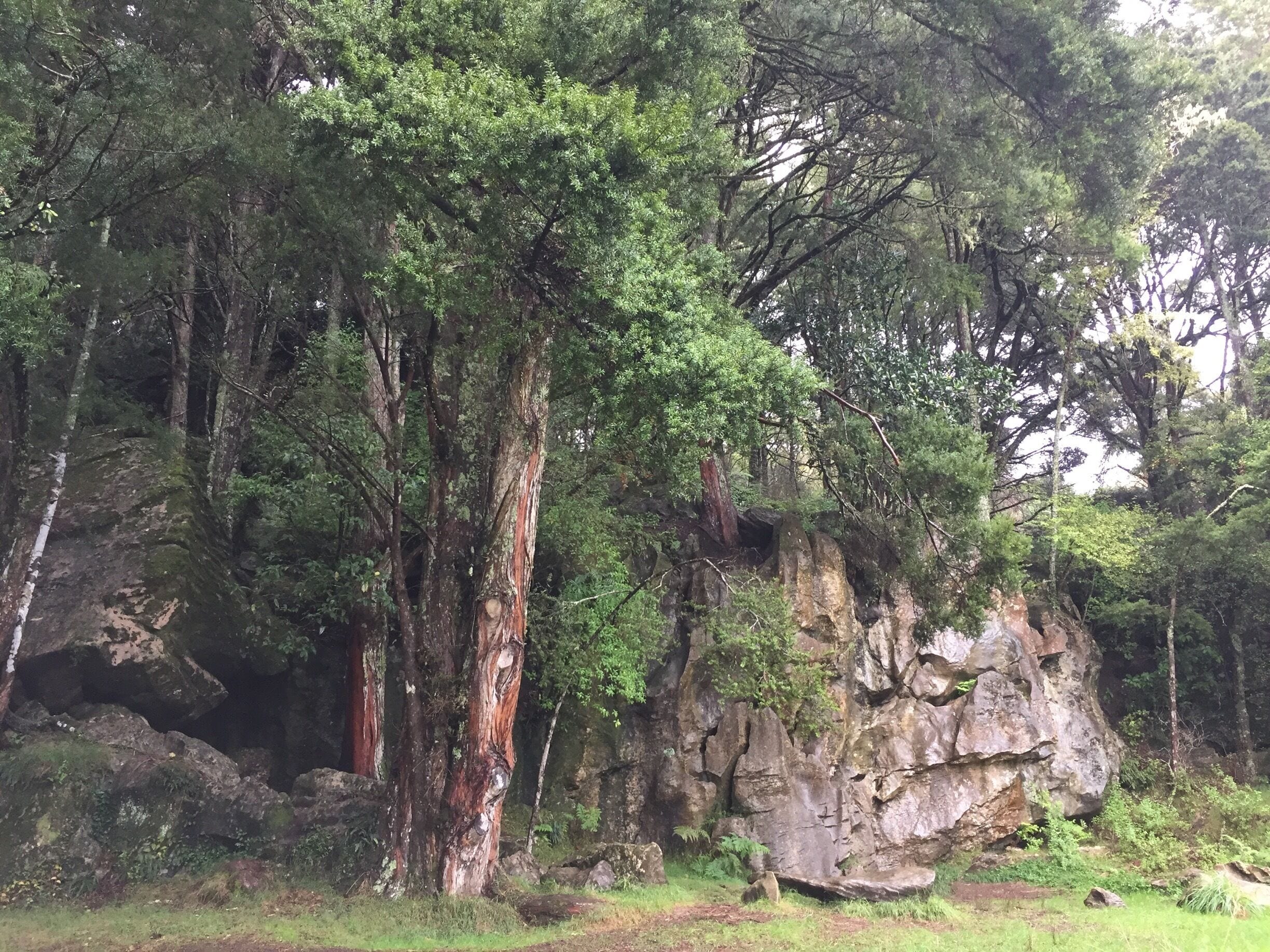 Glow worm gave, you will have to go trough a little river, no guide free entrance, bring a torch!

