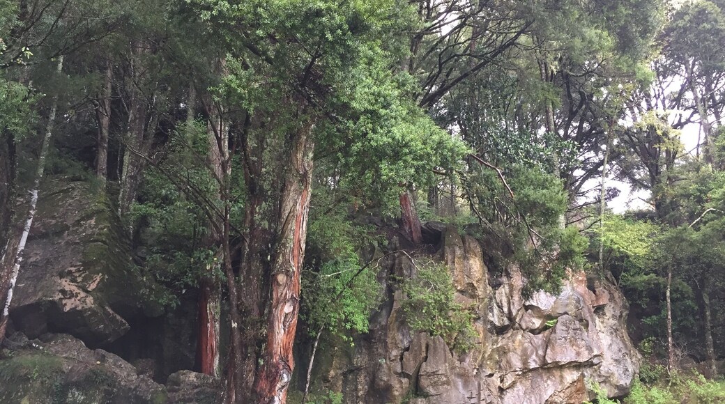 Glow worm gave, you will have to go trough a little river, no guide free entrance, bring a torch!