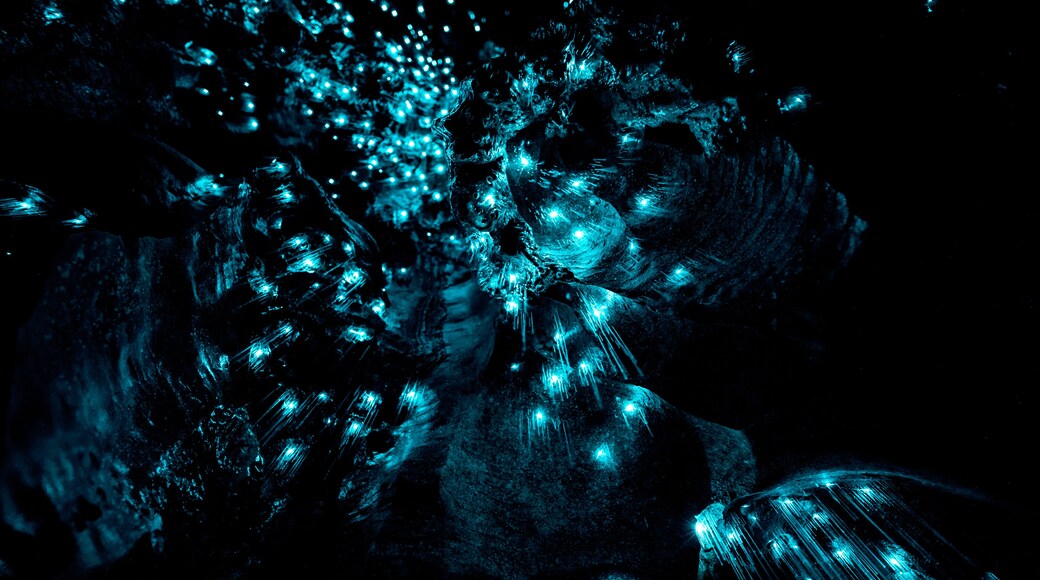 New Zealand Glowworms in Waipu Cave, Shutterstock ID 1037365315, Purchase Order: SP-1845, Order Number: SP-1845 ANZ-18140 WOTIF INSIDER BLOG, Client/Licensee: Wotif, Other: Manoj Rawat