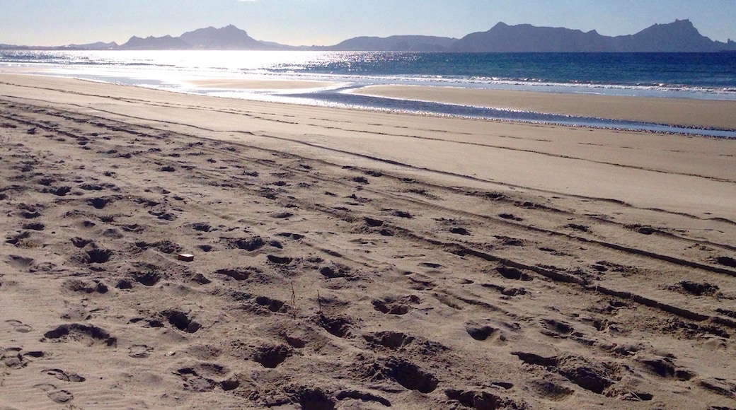 Initially we thought we would be spending my last few days in New Zealand in Auckland. After a few hours in the busy city, we decided to leave again. Don't get me wrong: Auckland is cool and has got a lot to offer, but after two months of being surrounded by New Zealand's amazing nature, it just didn't feel right to end our road-trip in the city.
So, we drove up North to the Bay of Islands. Boy, i'm glad we did. Because it turned out to be Ben's & my favourite place in New Zealand! We both love the water and somehow Northland has got it all: breathtaking nature, stunning beaches, incredible sunsets...and the winter months are really mild! We spent some beautiful days up here!
Soon I'll be off to Guatemala and Ben will do another housesit in New Zealand before we re-unite on the other side, in the States.... New Zealand - you have been incredible! Thank you.
#alifefullofserendipity #serendipitytess #travel #travelblog #newzealand #NZmustdo #northland #bayofislands #beach #coast #travelling #travelblogger #nomad #globetrotter #rtw #adventure #photo #NZmustDo #newzealand #nature #natureza #nature_perfection #happiness #joy