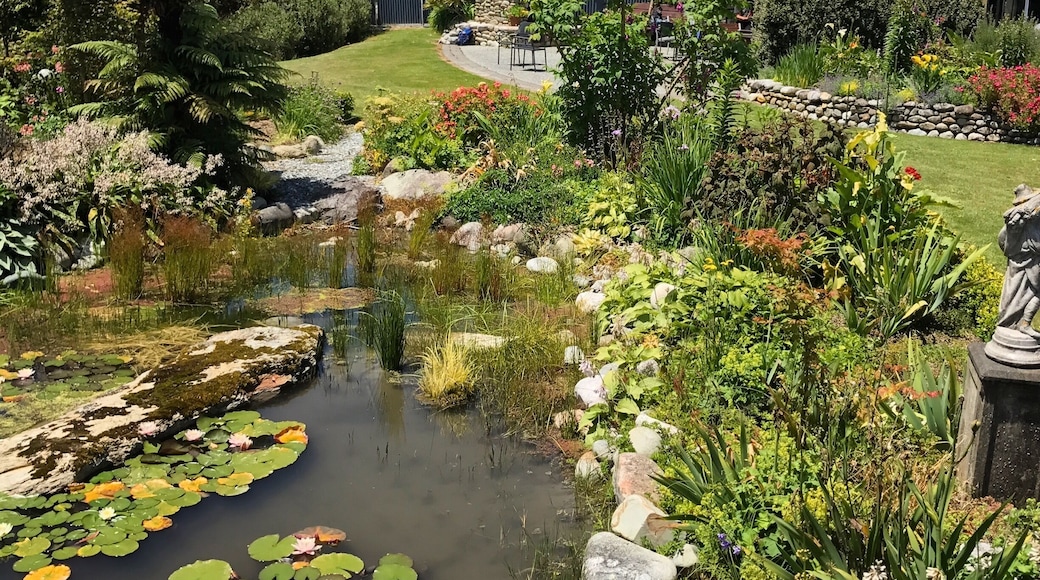 Stop here for lunch!