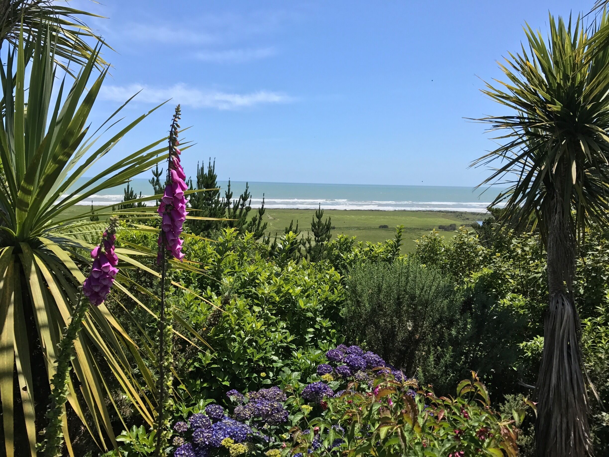 A coastal landscape with a view of the ocean, surrounded by lush greenery and flowering plants.