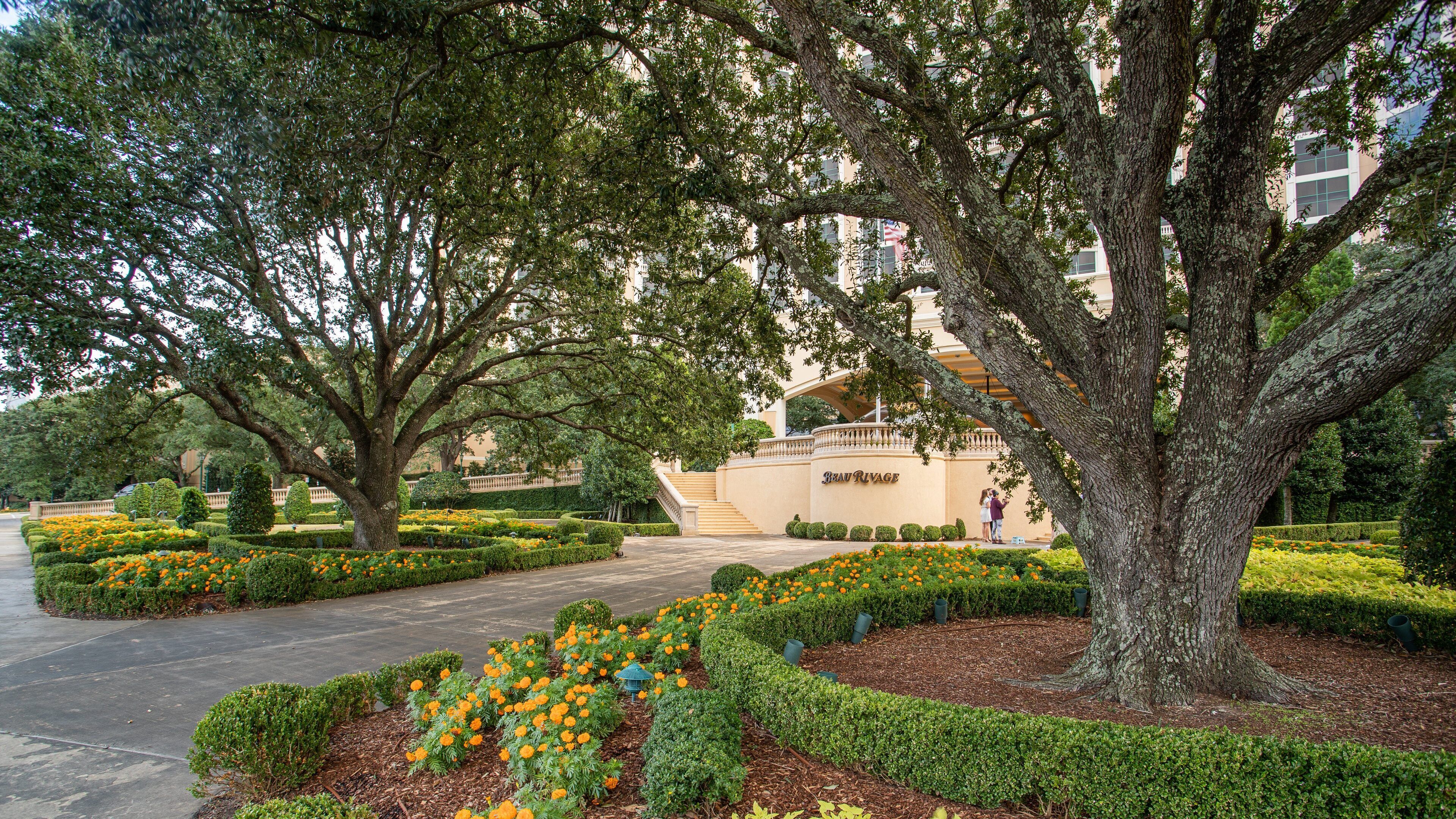 East Biloxi showing wildflowers and a park