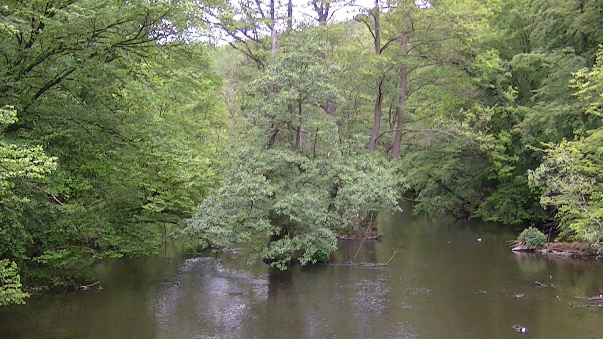 Auf der Brücke im Schwentinental