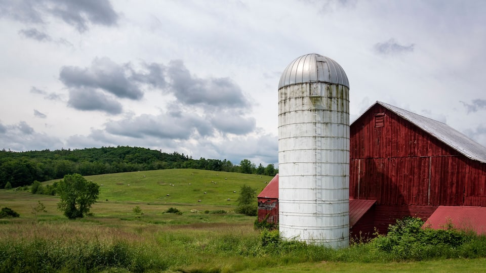 A red barn and a white silo in a green field.
