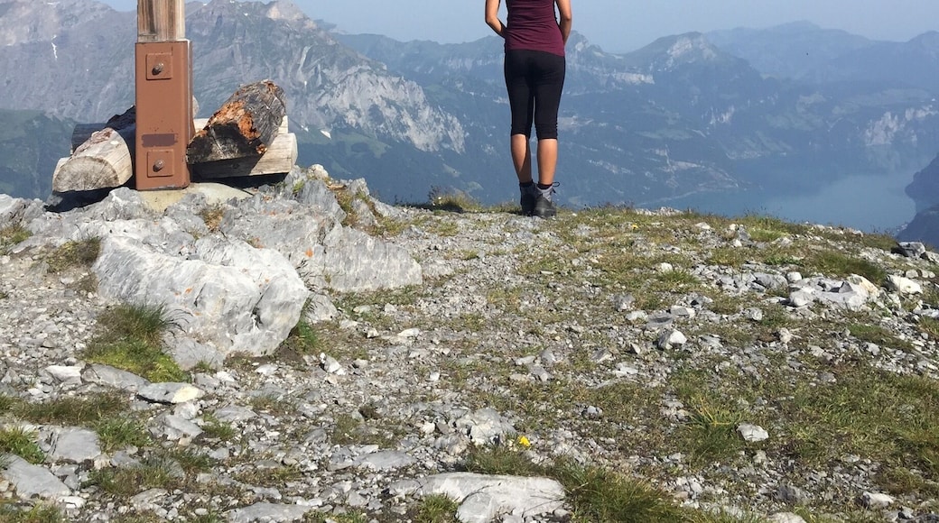 Reached the top! ☺️ #hiking