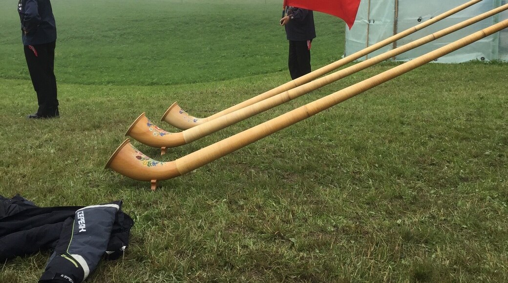 Flag twirling or flag throwing is one of the oldest national sport of Switzerland.