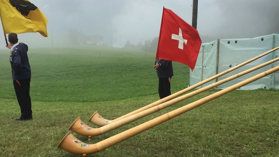 A grassy field with a Swiss flag and a yellow flag with a black emblem.
