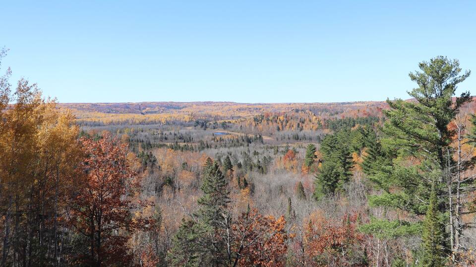 A forested landscape with autumn foliage, a clear sky, and distant hills.
