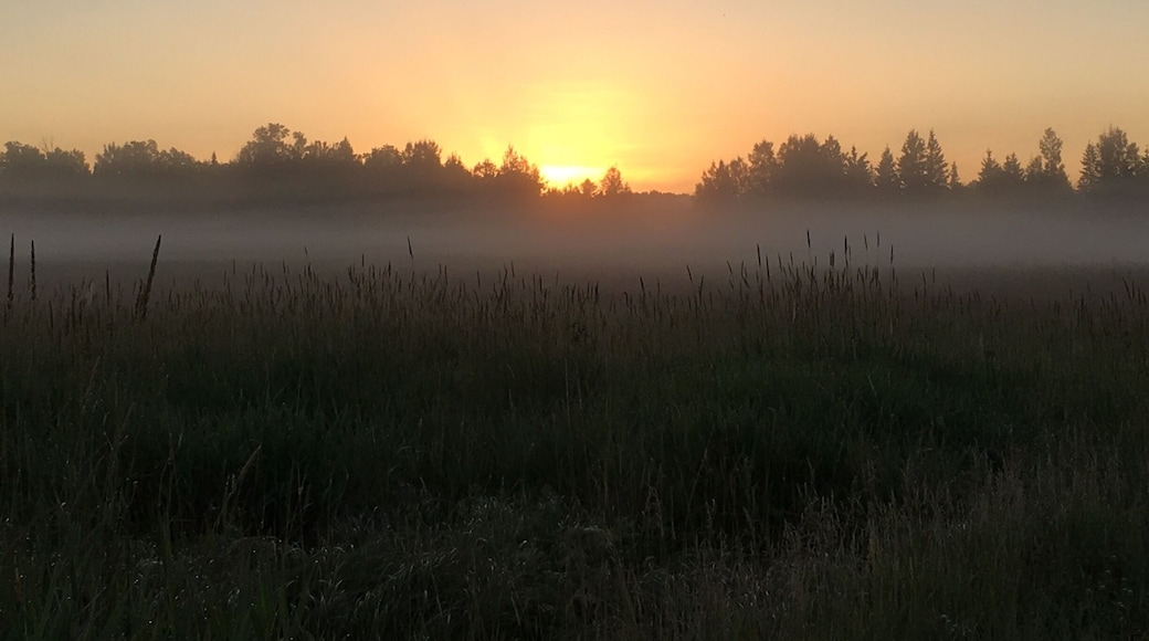 Early morning fog over the fields.