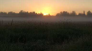 Early morning fog over the fields.