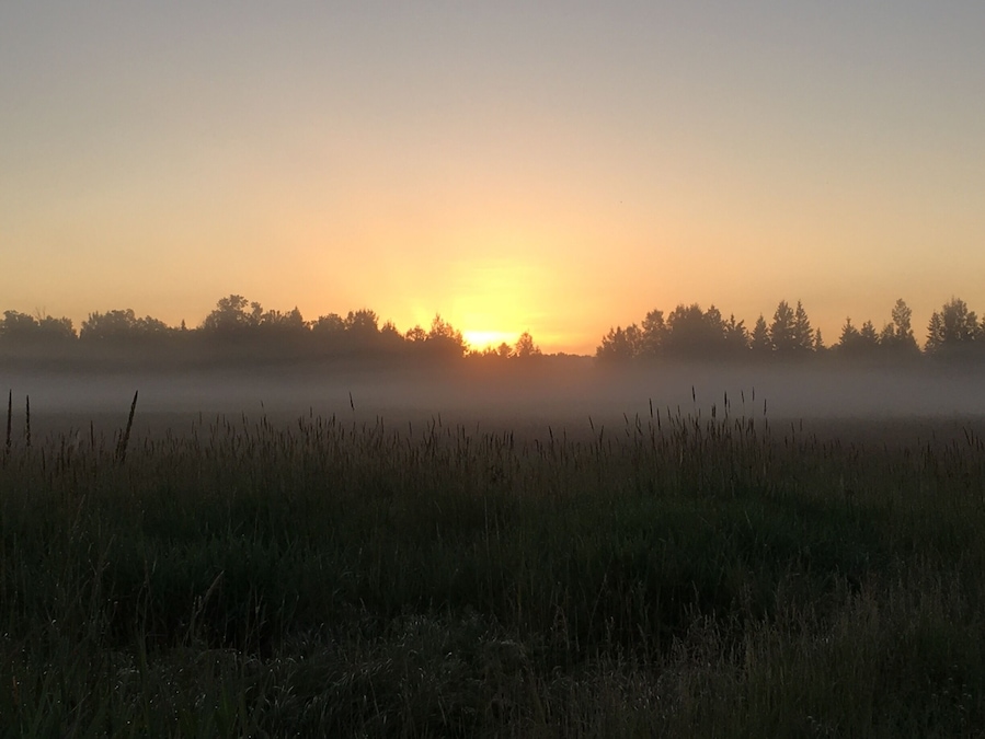 Early morning fog over the fields.