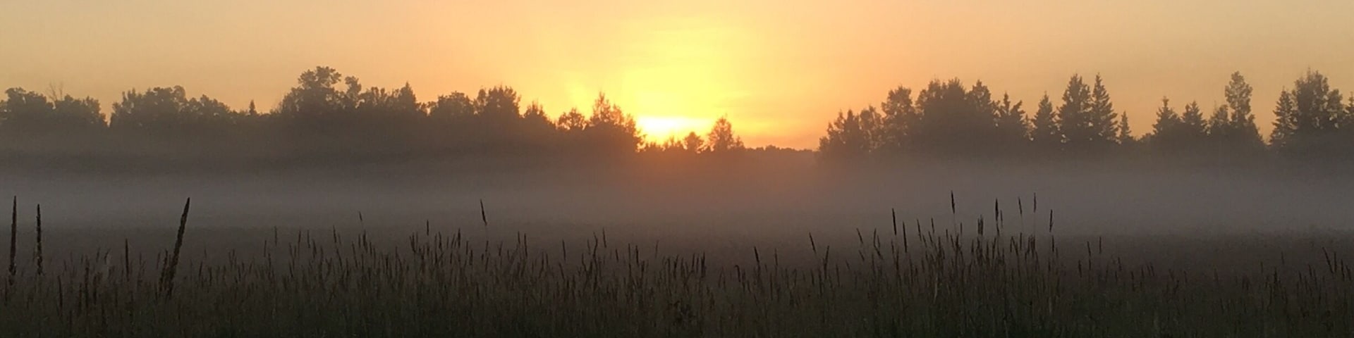 Early morning fog over the fields.